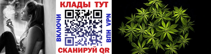 Наркотические вещества Курчатов Марихуана  СК  Галлюциногенные грибы  MDMA  ГАШ  Cocaine 