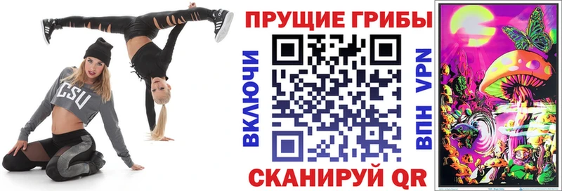 Псилоцибиновые грибы мицелий  Курчатов 